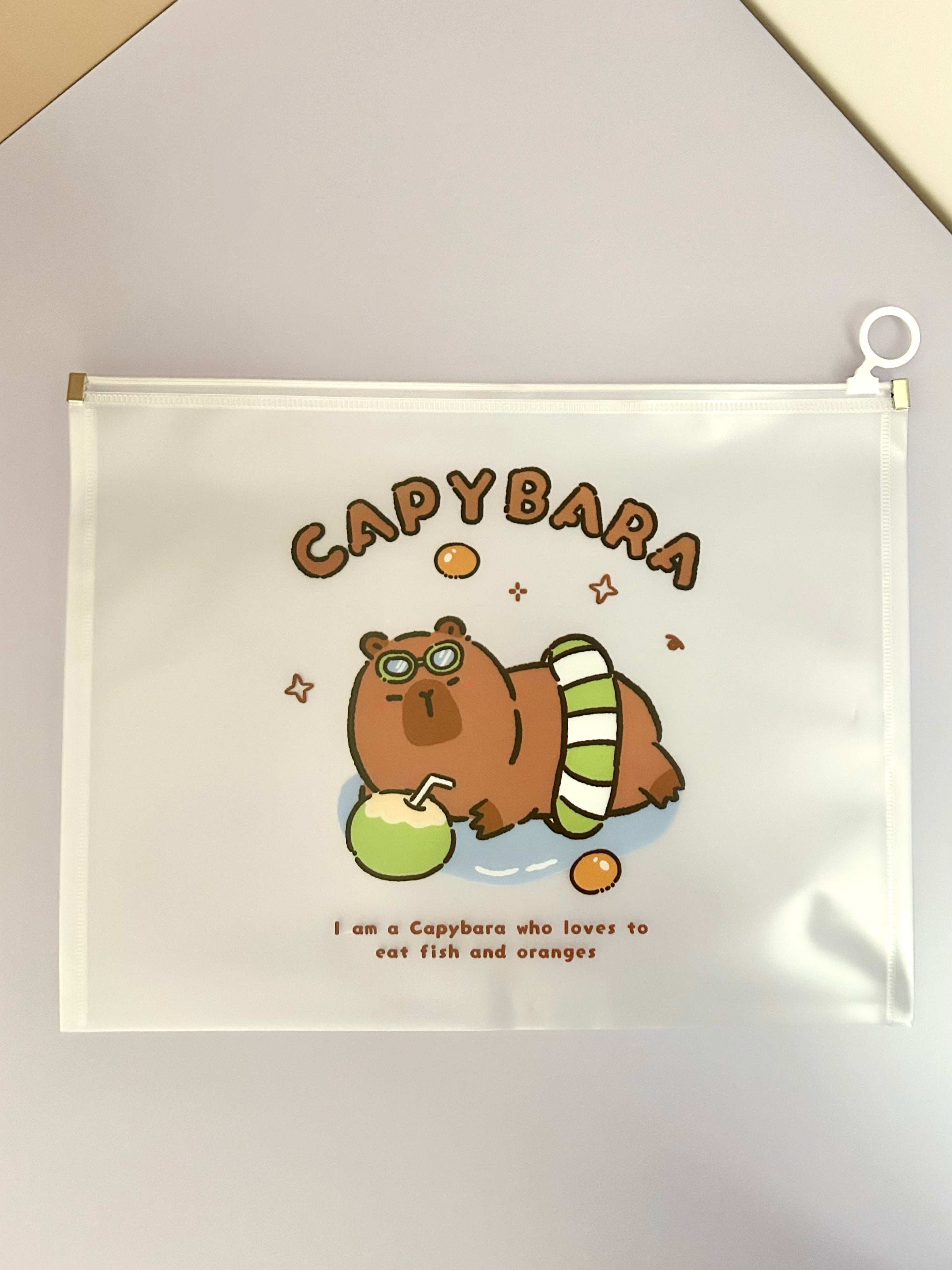 Capybara A4 File Pouch（4-pack）